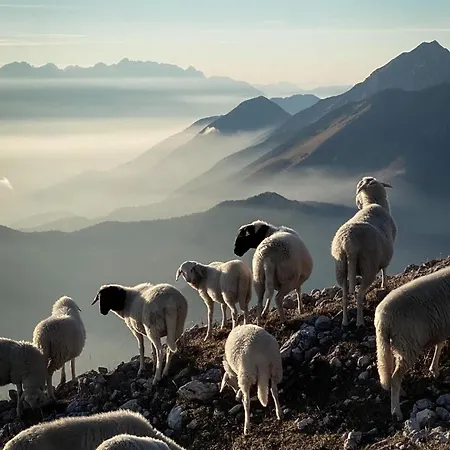 The View 22 Διαμέρισμα