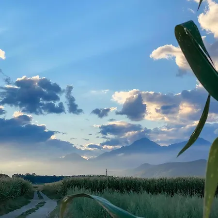 The View 22 아파트 서클리예나고렌스켐