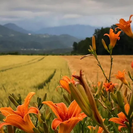 Διαμέρισμα The View 22 *