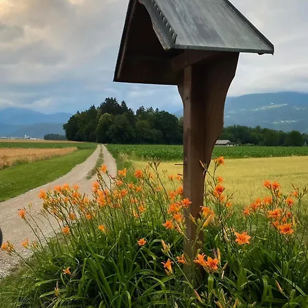 The View 22 Apartman