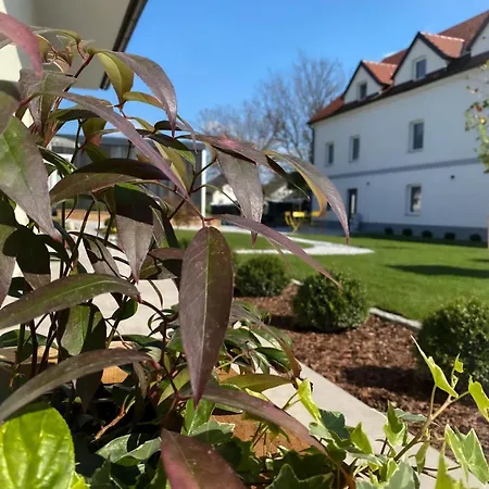 The View 22 * Cerklje na Gorenjskem