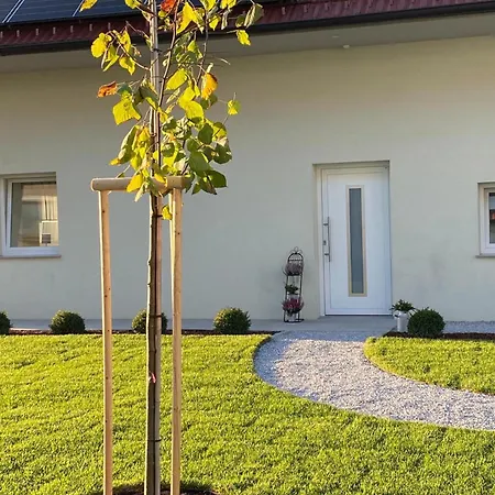 Apartman The View 22