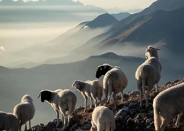 The View 22 Apartament