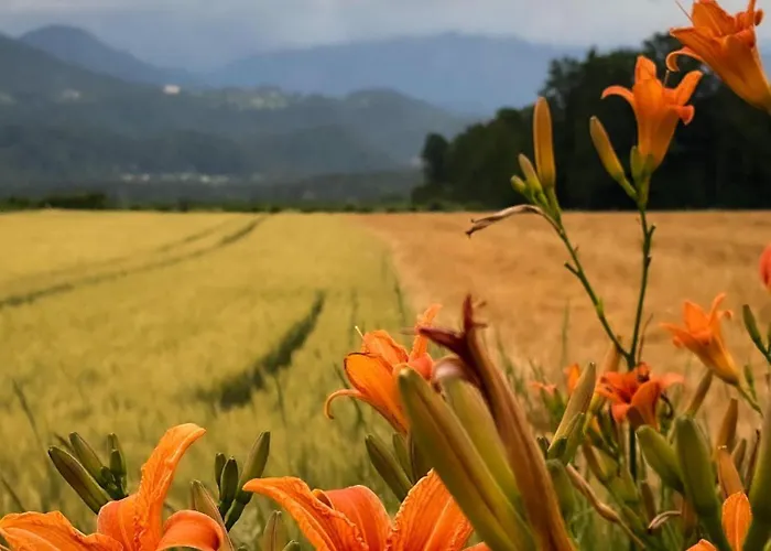 Apartament The View 22 *