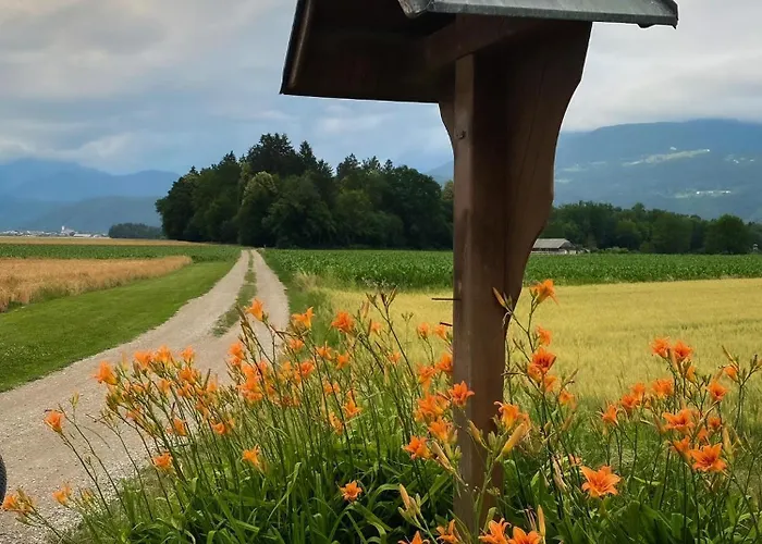 The View 22 Apartament