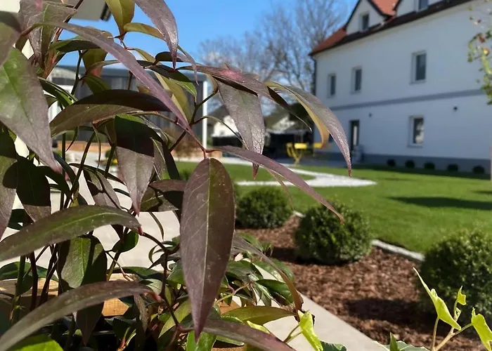 The View 22 * Cerklje na Gorenjskem